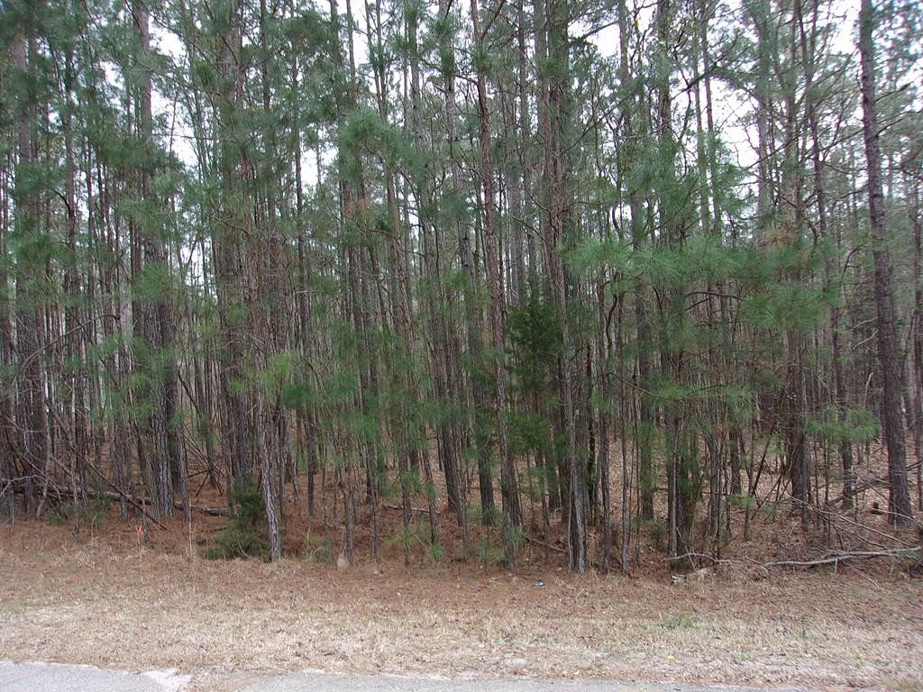 0.45 Acres of Residential Land for Sale in McCormick, South Carolina