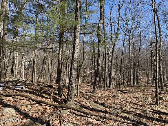0.5 Acres of Residential Land for Sale in Lords Valley, Pennsylvania