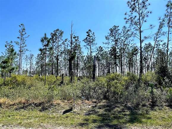 0.506 Acres of Residential Land for Sale in Wewahitchka, Florida