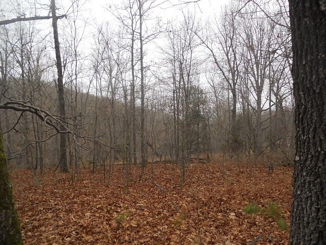 3.05 Acres of Land for Sale in Western Grove, Arkansas