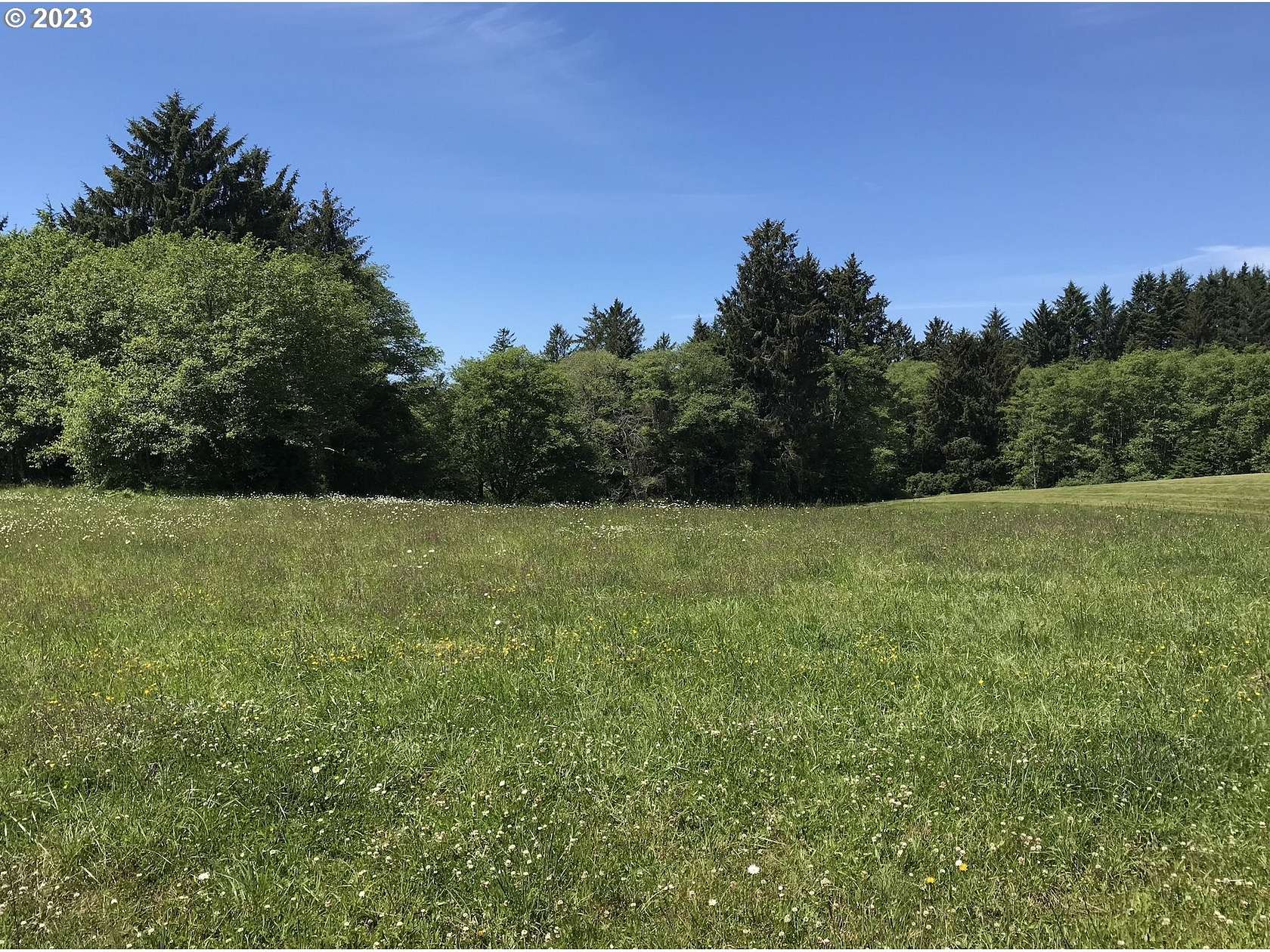 0.95 Acres of Residential Land for Sale in Netarts, Oregon