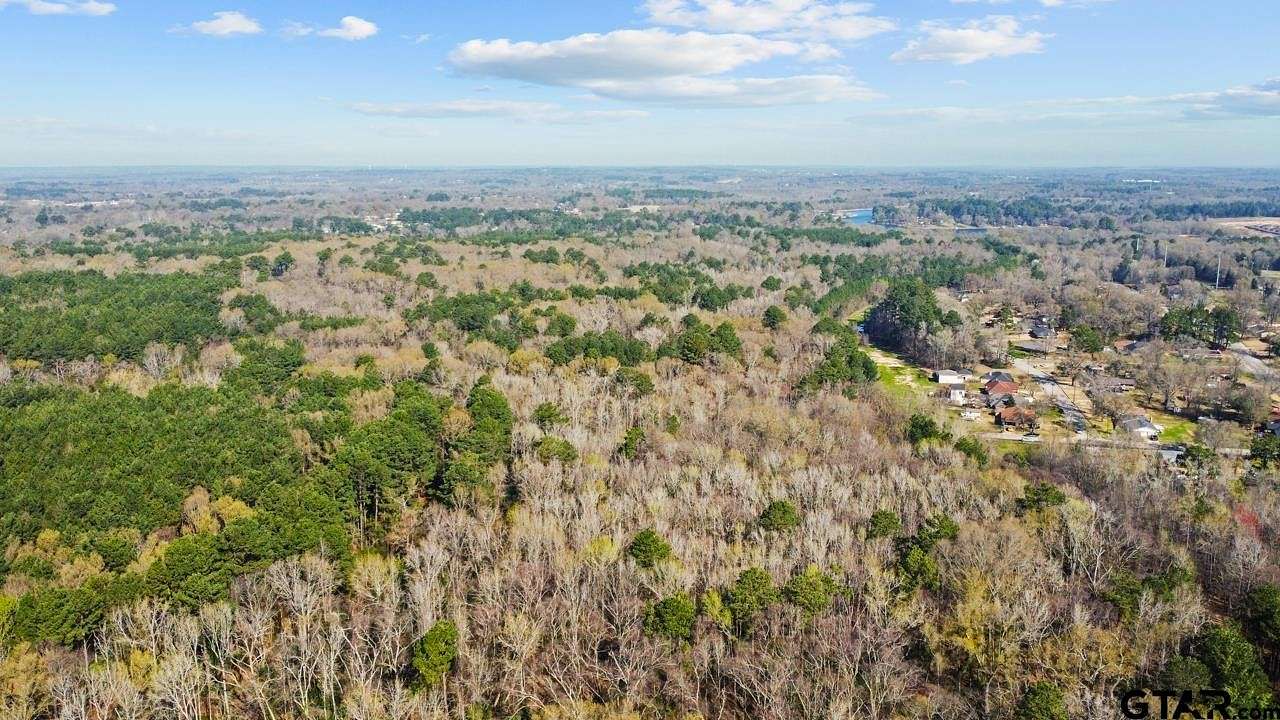 56 Acres of Land for Sale in Tyler, Texas
