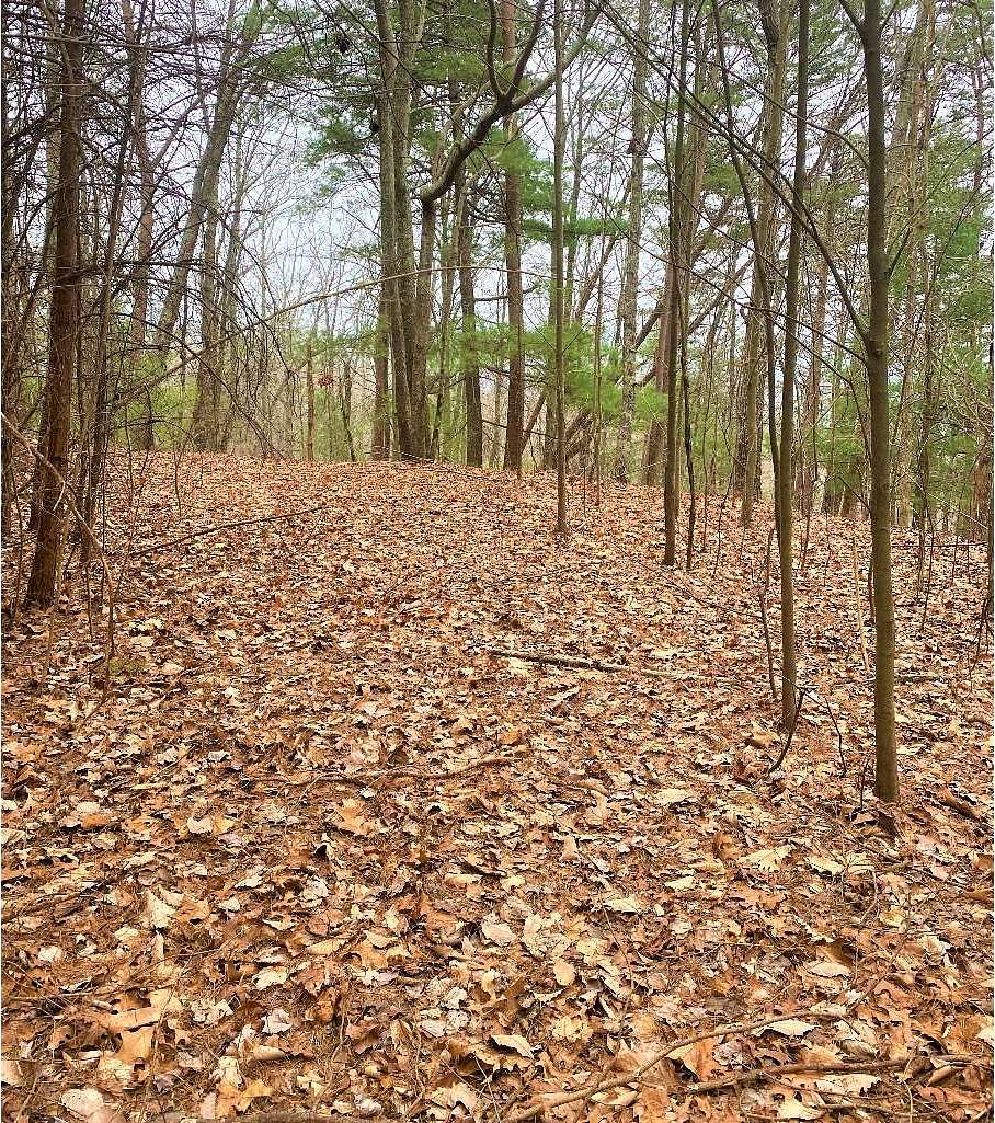 10 Acres of Residential Land for Sale in Ellijay, Georgia