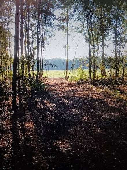 150 Acres of Recreational Land for Sale in Lake Butler, Florida