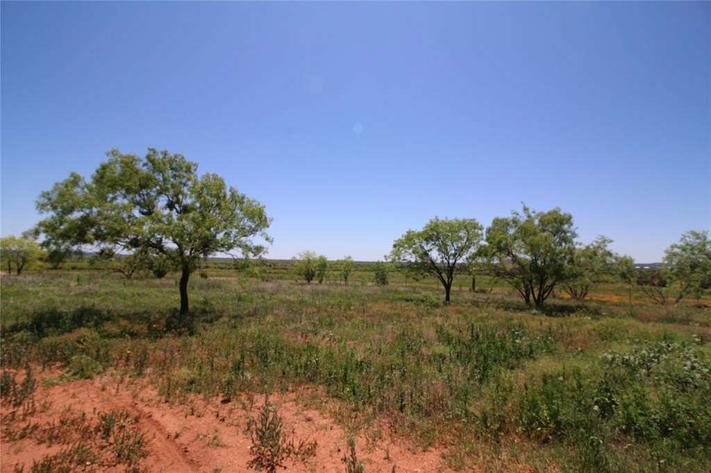 9.217 Acres of Land for Sale in Tuscola, Texas