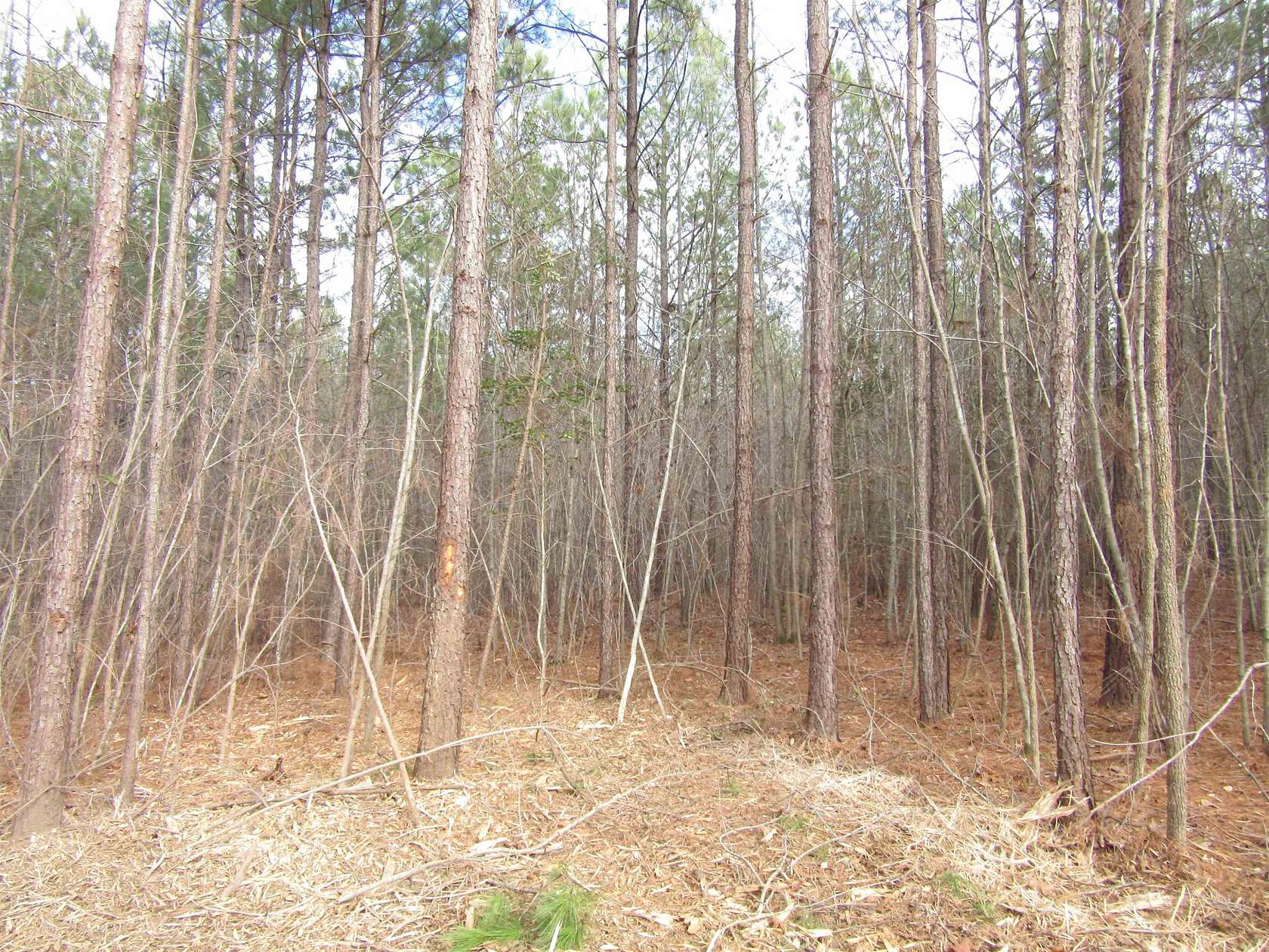 12.7 Acres of Land for Sale in Spring Hope, North Carolina