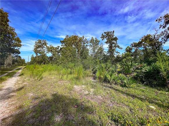 39.9 Acres of Land for Sale in Homosassa, Florida