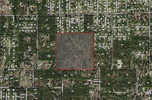39.93 Acres of Recreational Land for Sale in Homosassa, Florida