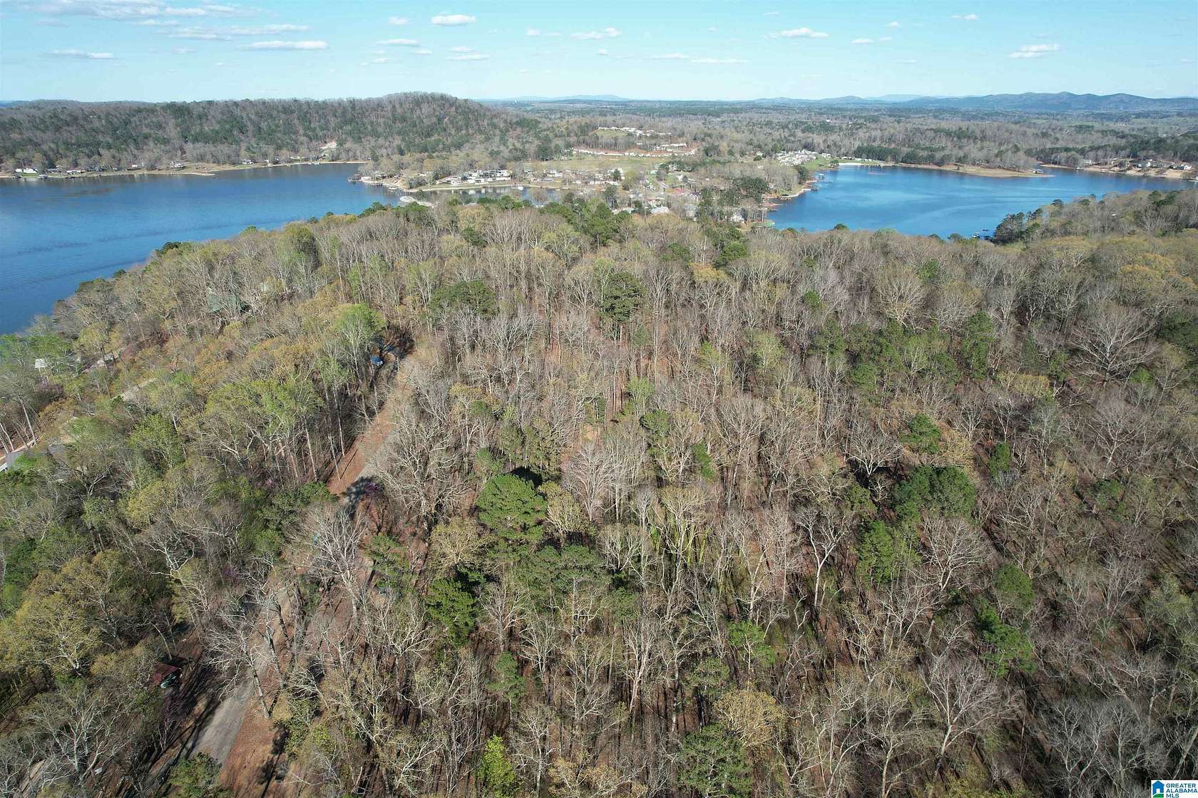 21 Acres of Land for Sale in Alpine, Alabama
