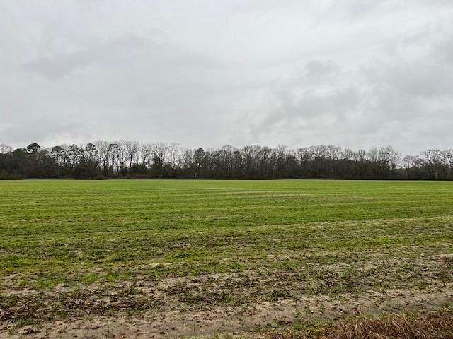 35 Acres of Agricultural Land for Sale in Andalusia, Alabama