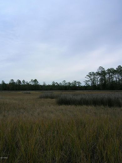 125 Acres of Recreational Land for Sale in Newport, North Carolina