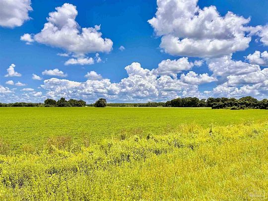 22.7 Acres of Land for Sale in Jay, Florida
