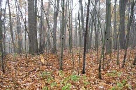 0.33 Acres of Land for Sale in Claysburg, Pennsylvania