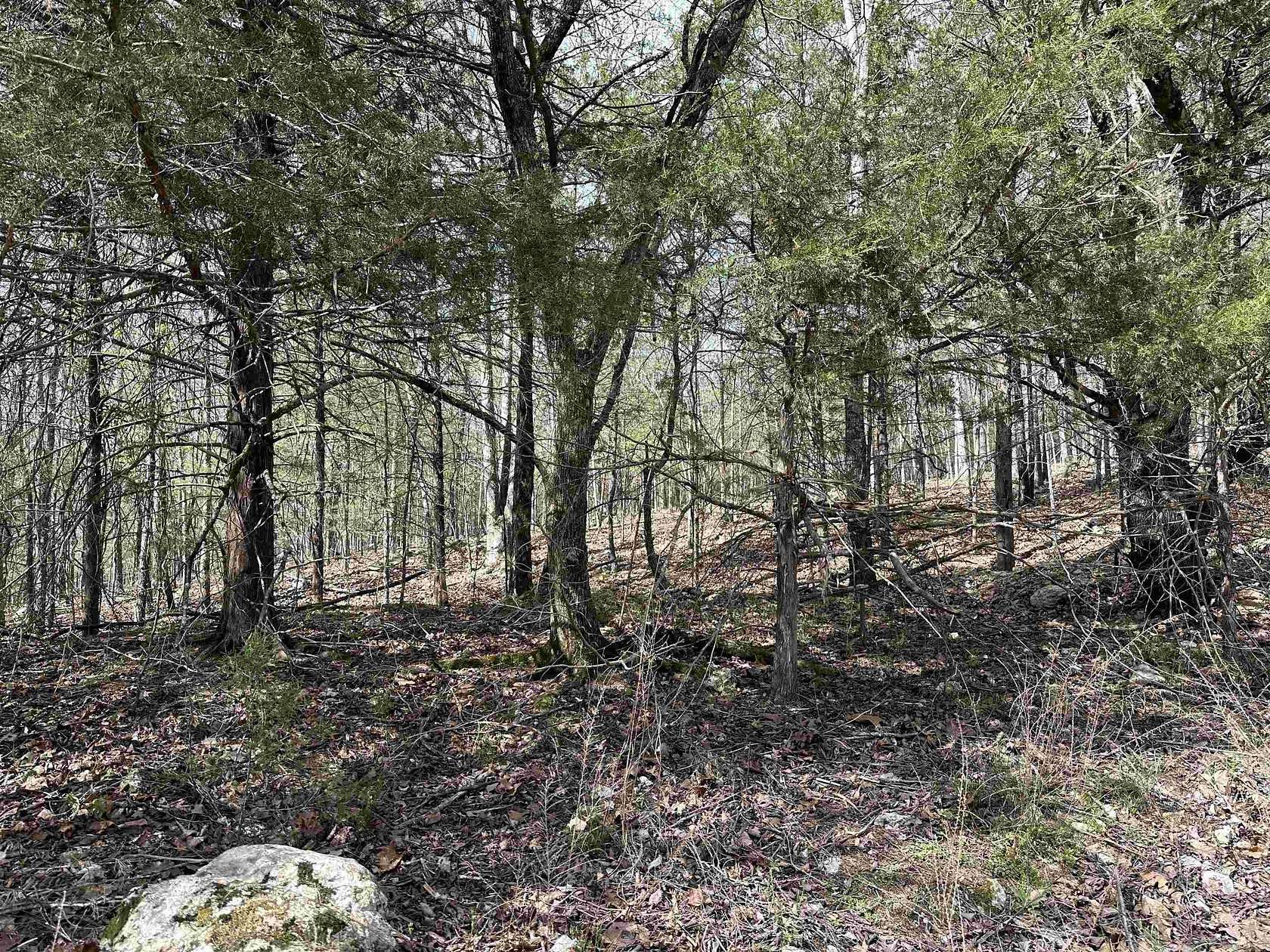 3 Acres of Land for Sale in Flippin, Arkansas