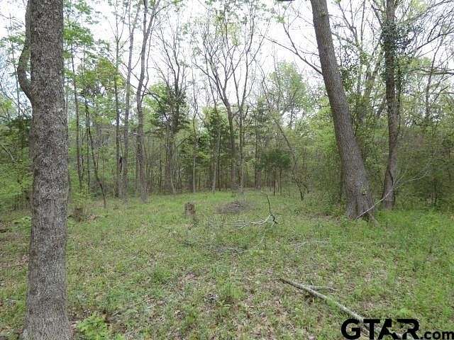 15.7 Acres of Land for Sale in Palestine, Texas