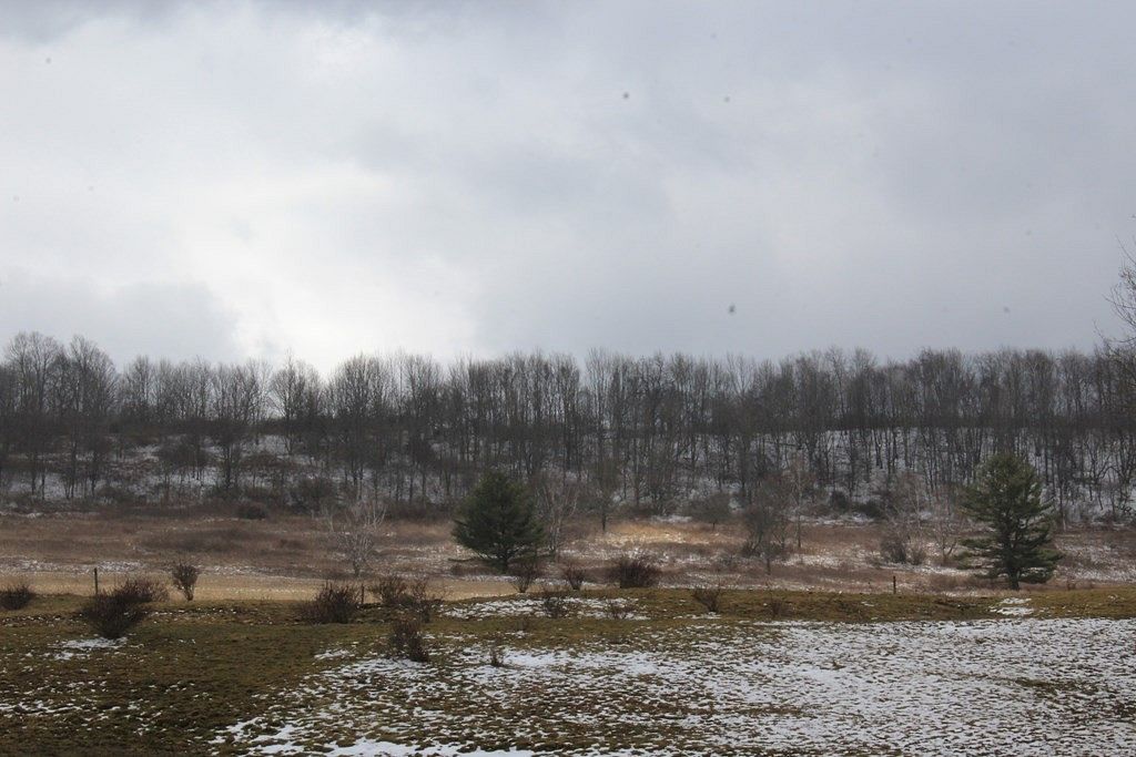 66.9 Acres of Agricultural Land for Sale in Wellsboro, Pennsylvania