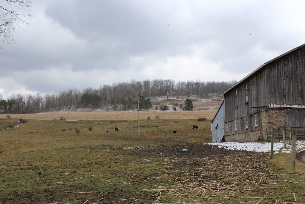 66.9 Acres of Agricultural Land for Sale in Wellsboro, Pennsylvania