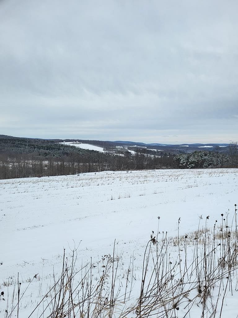 66.9 Acres of Agricultural Land for Sale in Wellsboro, Pennsylvania LandSearch