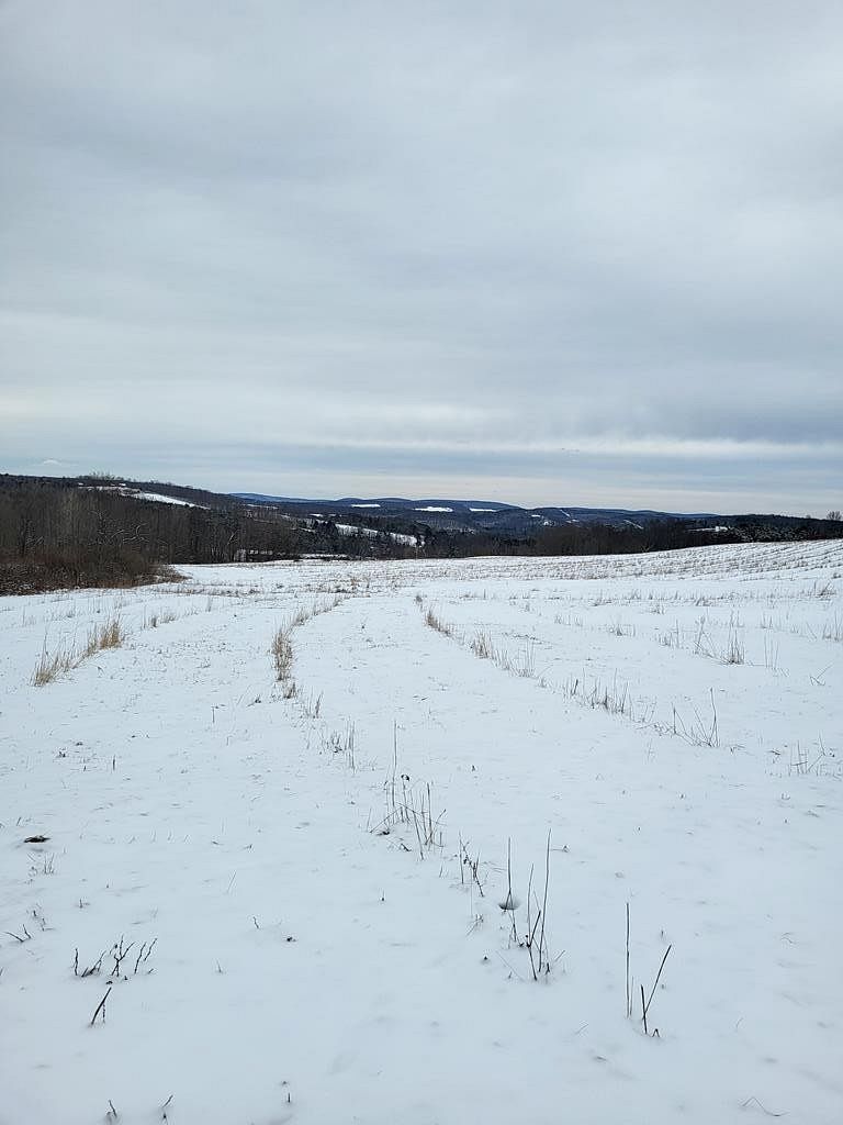 66.9 Acres of Agricultural Land for Sale in Wellsboro, Pennsylvania