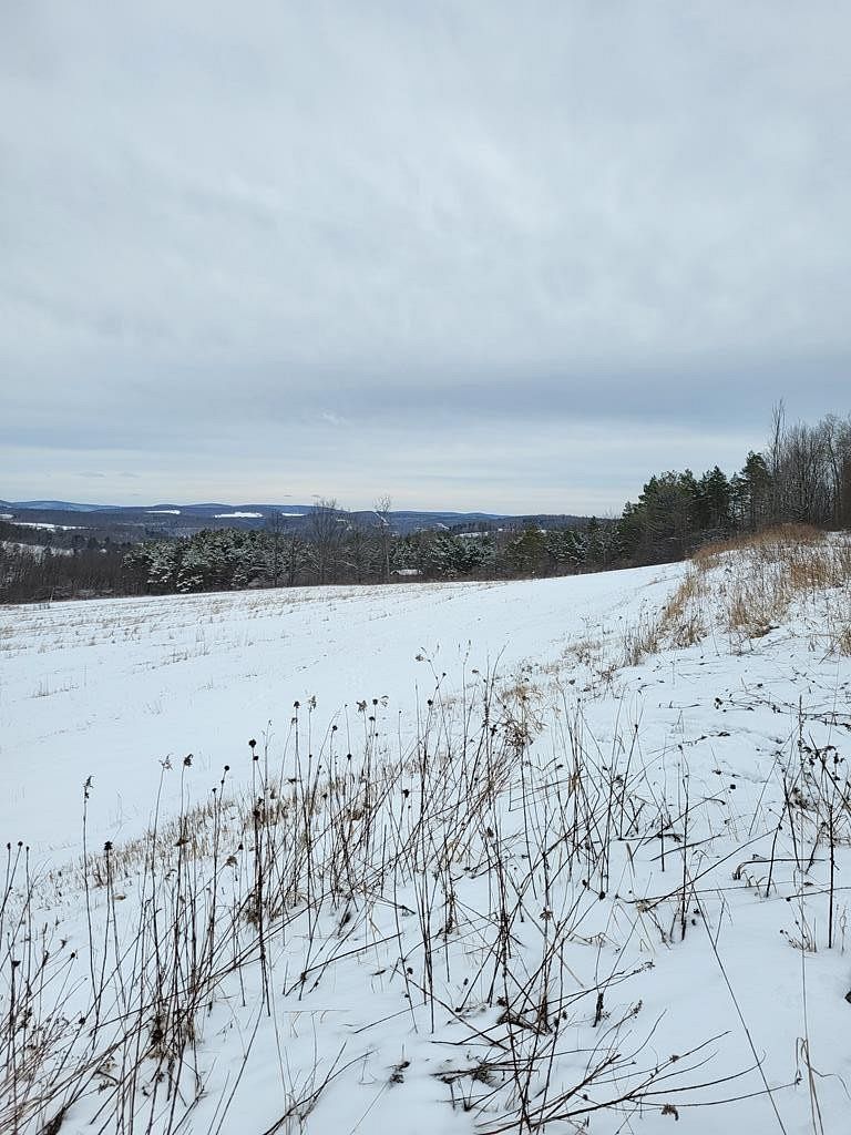 66.9 Acres of Agricultural Land for Sale in Wellsboro, Pennsylvania LandSearch