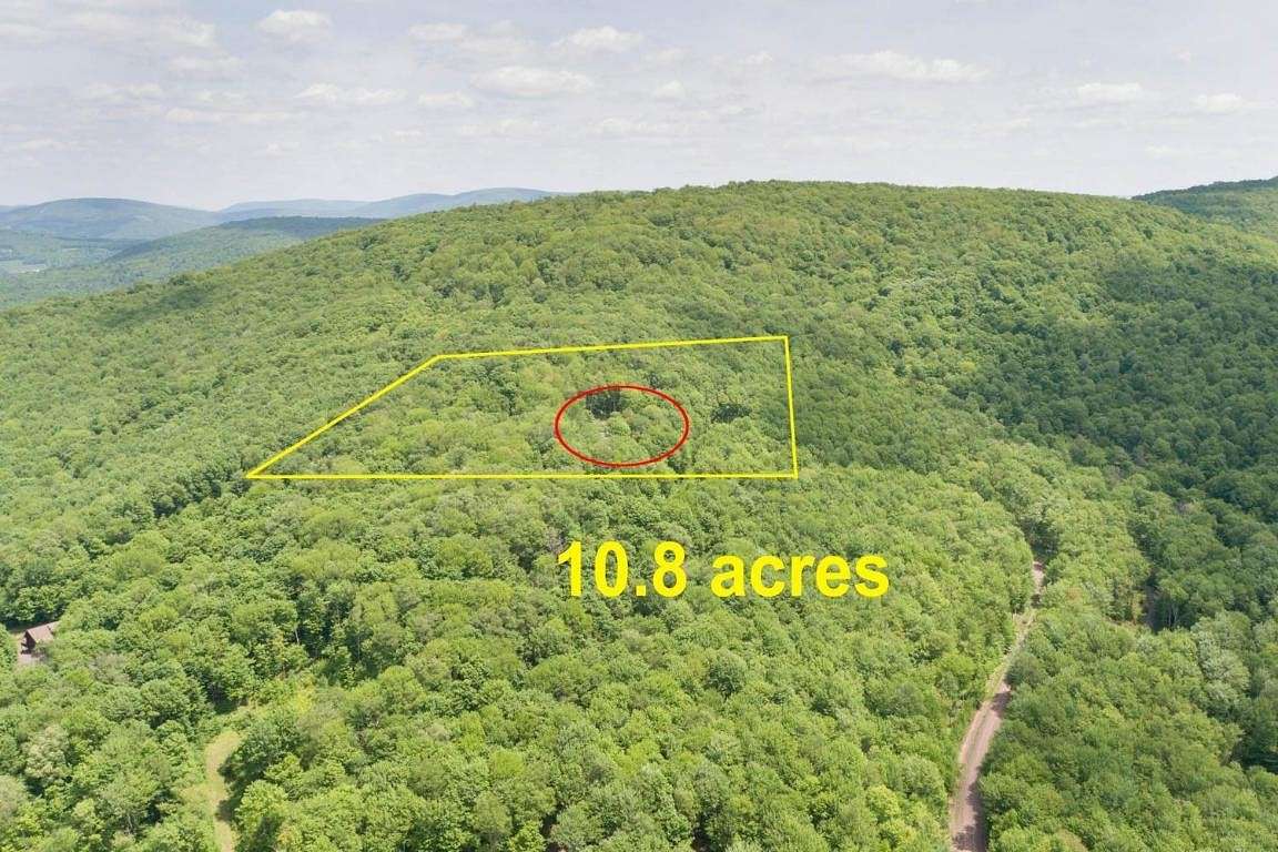 10.8 Acres of Recreational Land with Home for Sale in Bovina, New York