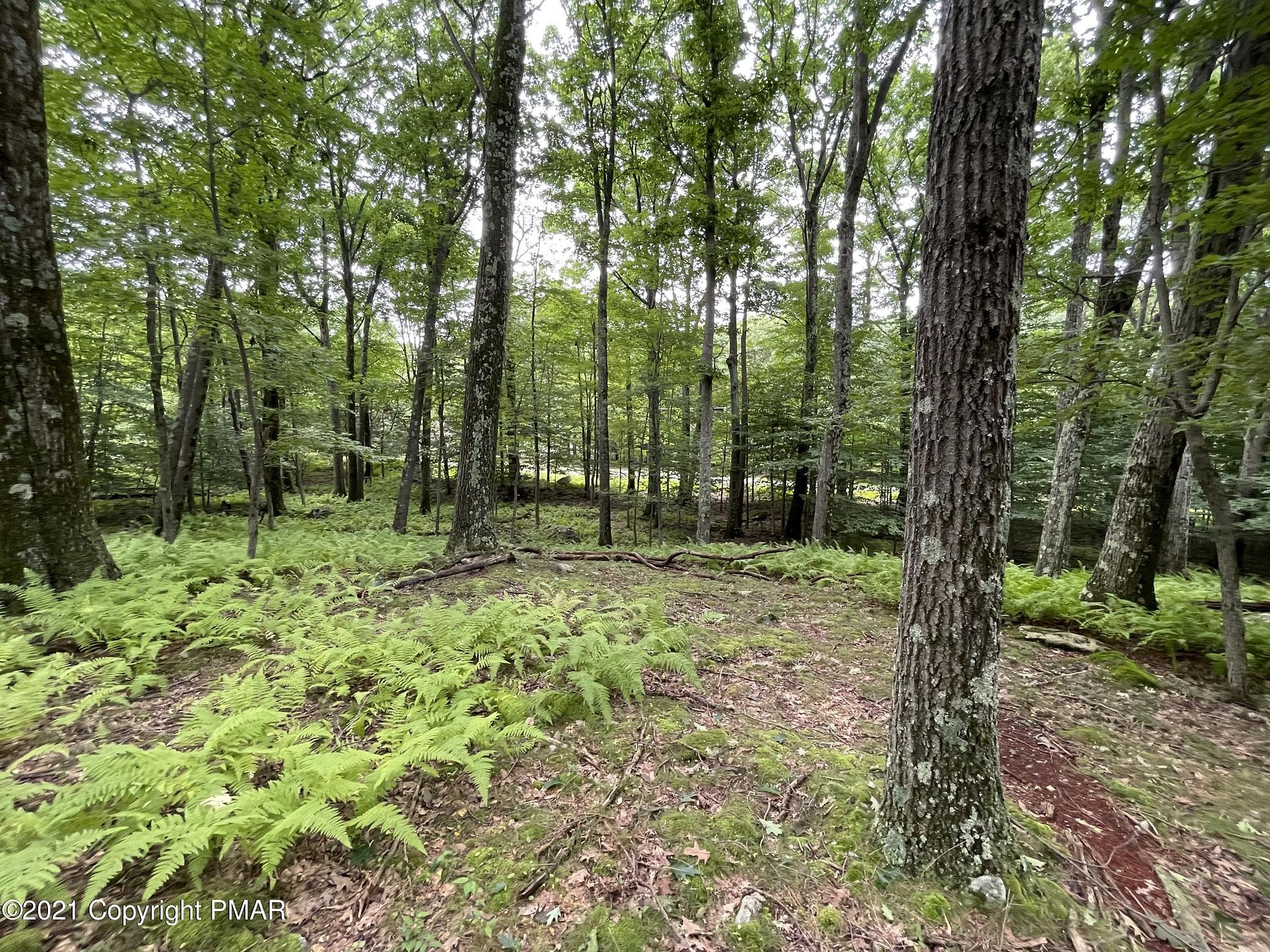 0.5 Acres of Residential Land for Sale in Canadensis, Pennsylvania