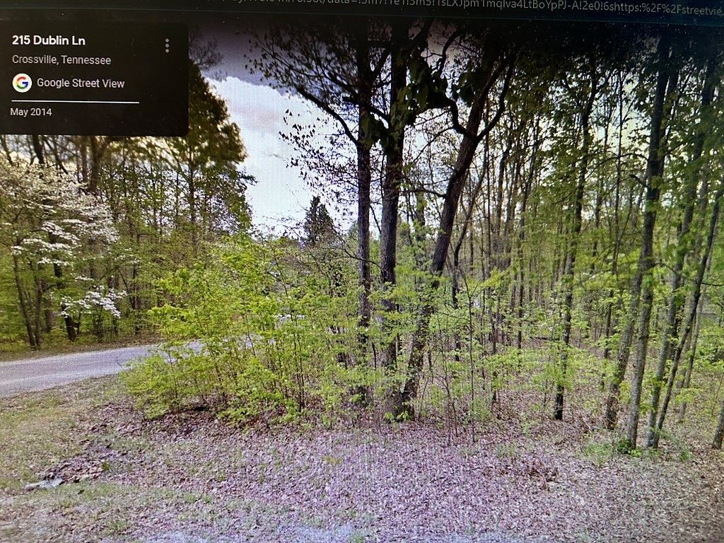 0.31 Acres of Residential Land for Sale in Fairfield Glade, Tennessee