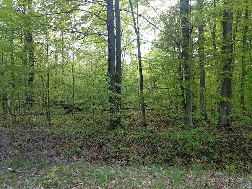 Land for Sale in Frederic, Michigan