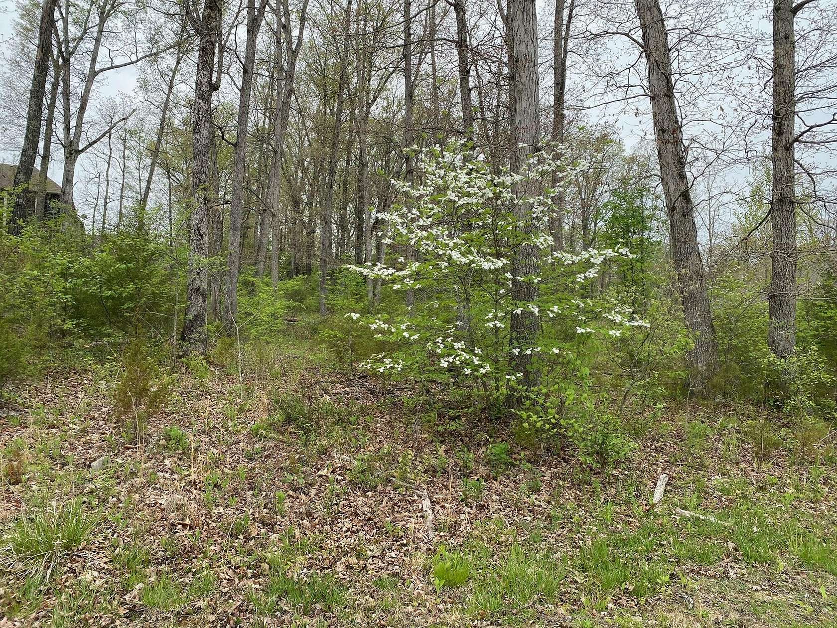 0.62 Acres of Residential Land for Sale in Branson, Missouri
