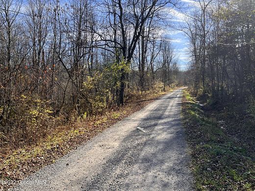 18 Acres of Recreational Land for Sale in Berne, New York
