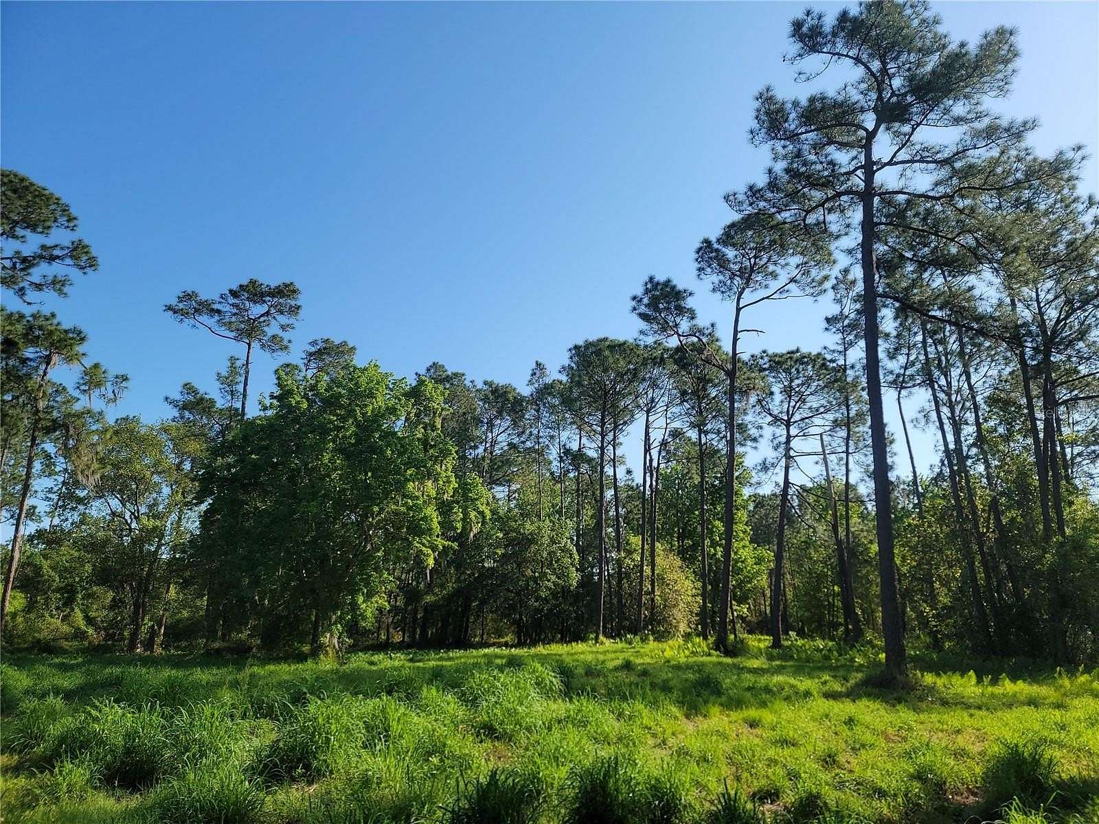4.27 Acres of Land for Sale in Winter Haven, Florida