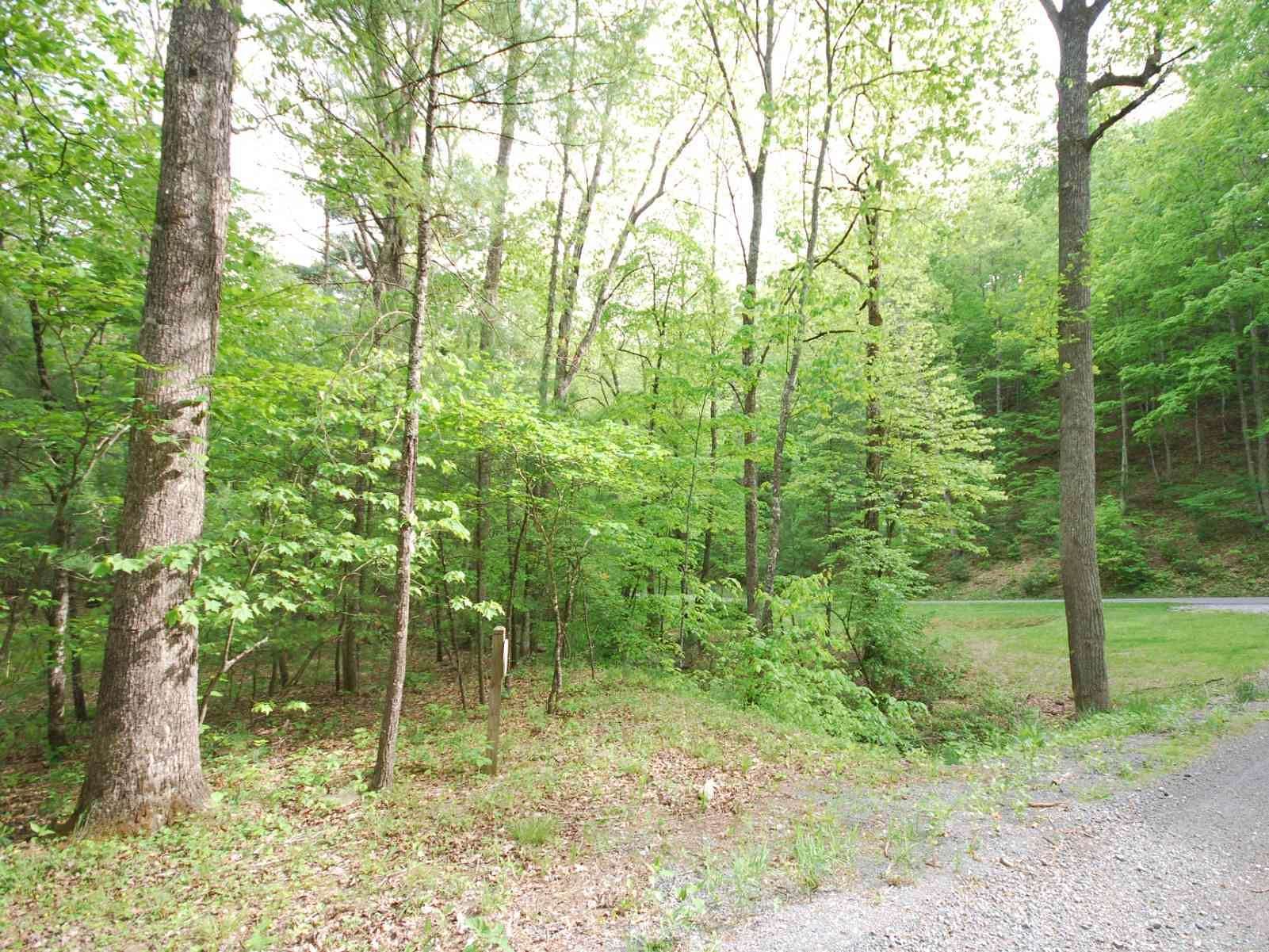 2 Acres of Residential Land for Sale in White Sulphur Springs, West Virginia