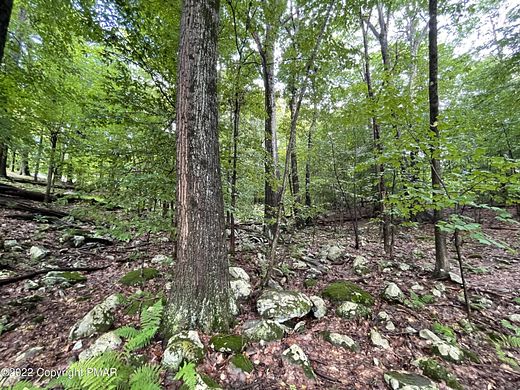 2.6 Acres of Residential Land for Sale in Canadensis, Pennsylvania