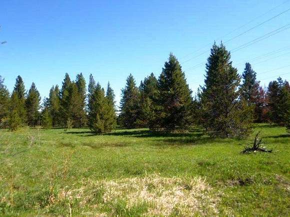 1.4 Acres of Land for Sale in McCall, Idaho