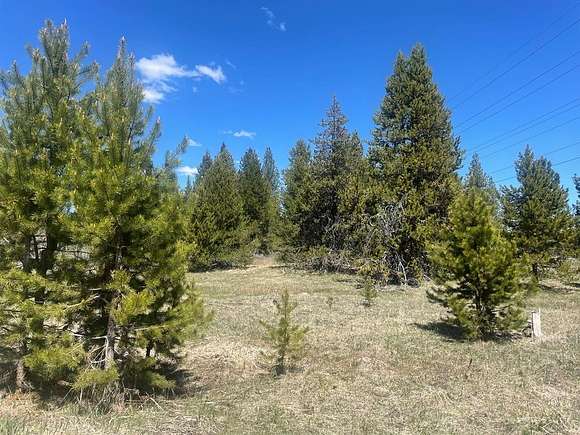 1.4 Acres of Land for Sale in McCall, Idaho