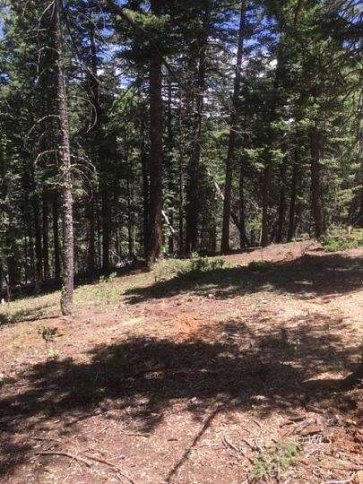 0.73 Acres of Residential Land for Sale in Rye, Colorado