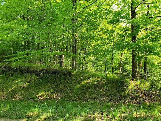 5.2 Acres of Residential Land for Sale in Athelstane, Wisconsin