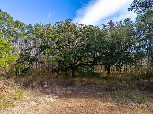 12 Acres of Land for Sale in Goose Creek, South Carolina