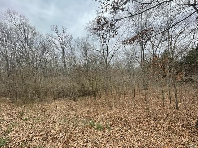 1.4 Acres of Residential Land for Sale in Poplar Bluff, Missouri