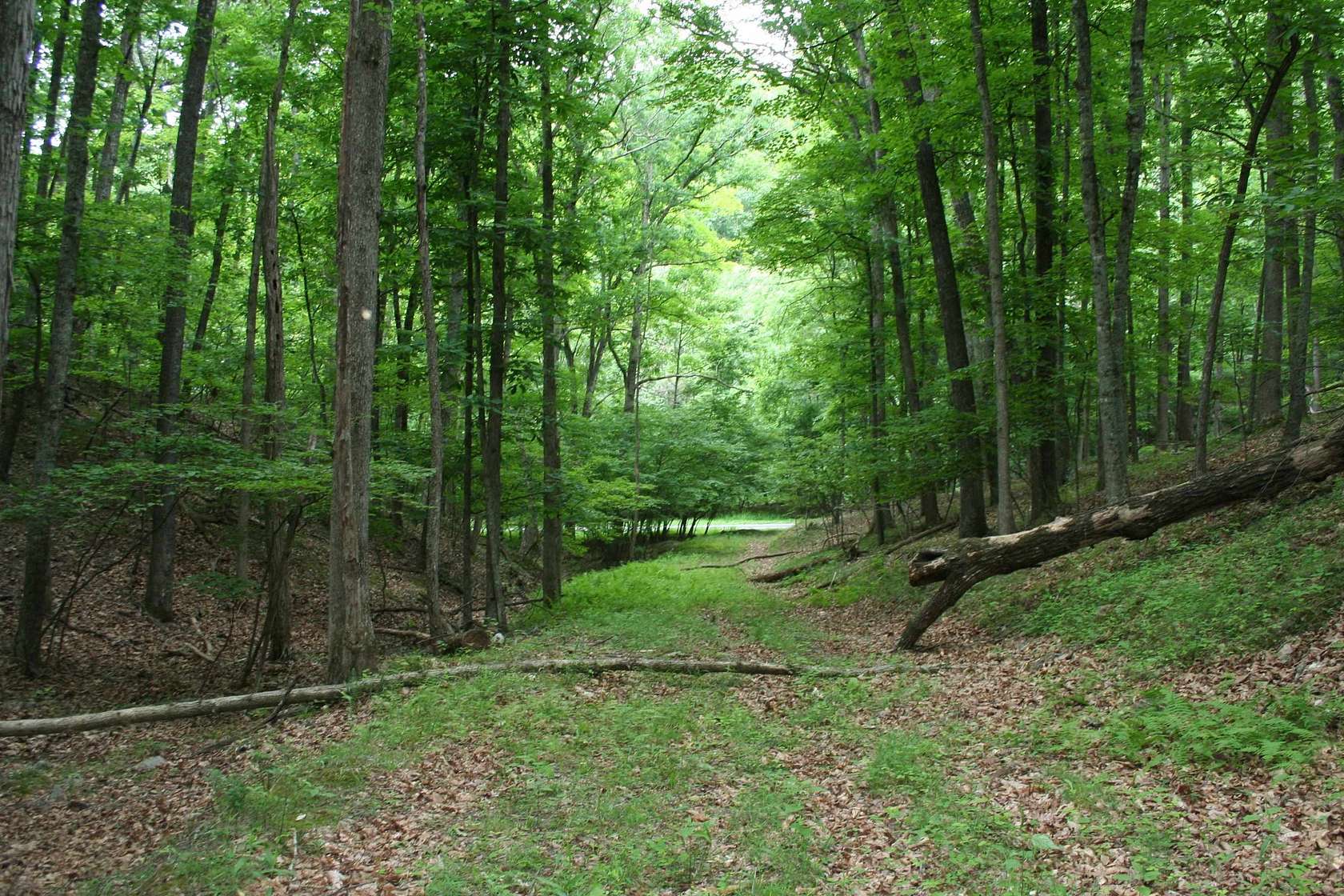 5 Acres of Residential Land for Sale in Monterey, Virginia