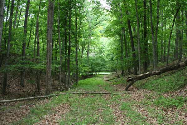5 Acres of Residential Land for Sale in Monterey, Virginia