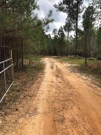 10.2 Acres of Recreational Land for Sale in Poplarville, Mississippi