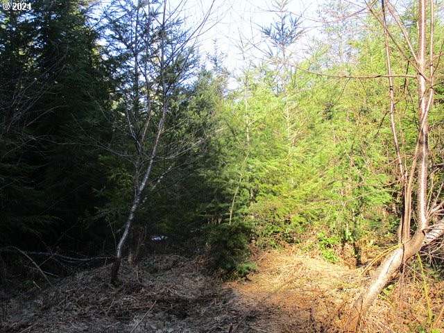 40 Acres of Land for Sale in Estacada, Oregon