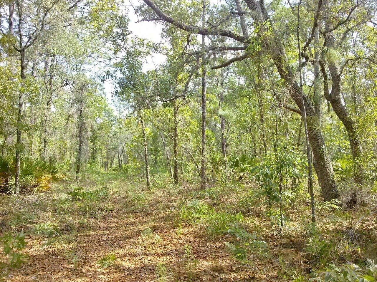 4.4 Acres of Residential Land for Sale in Weeki Wachee, Florida