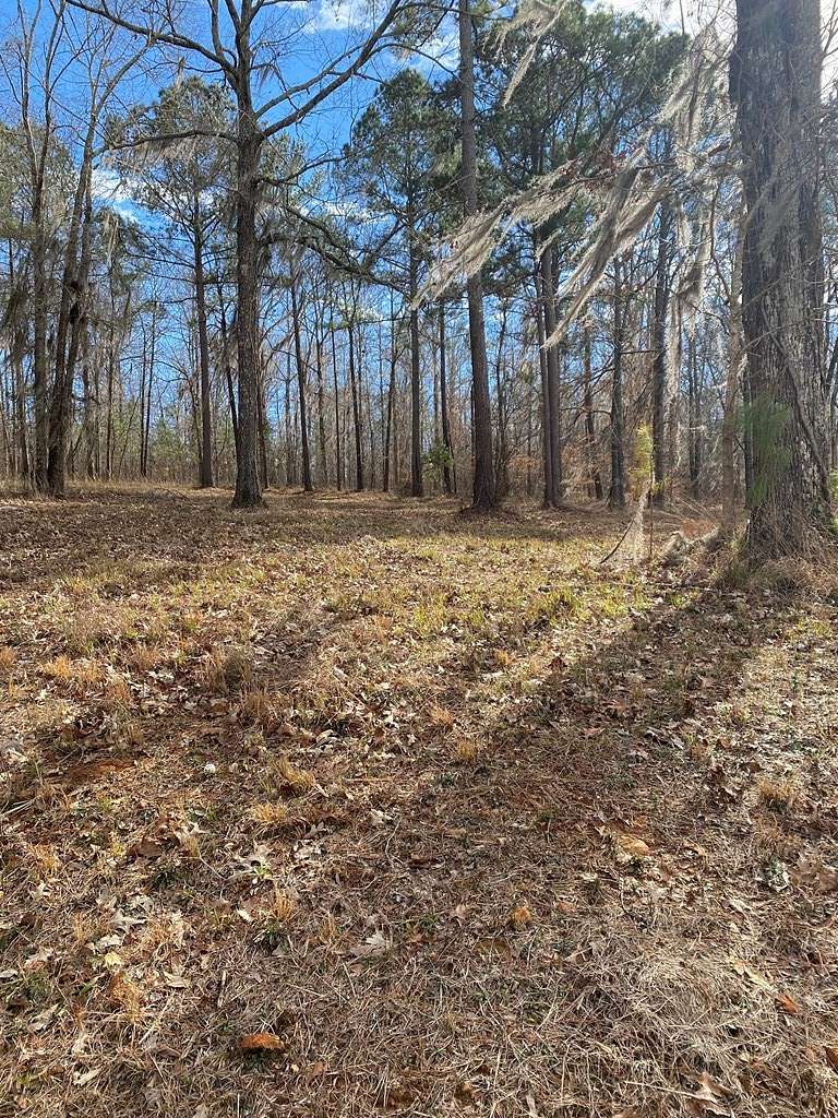 0.54 Acres of Residential Land for Sale in Hawkinsville, Georgia