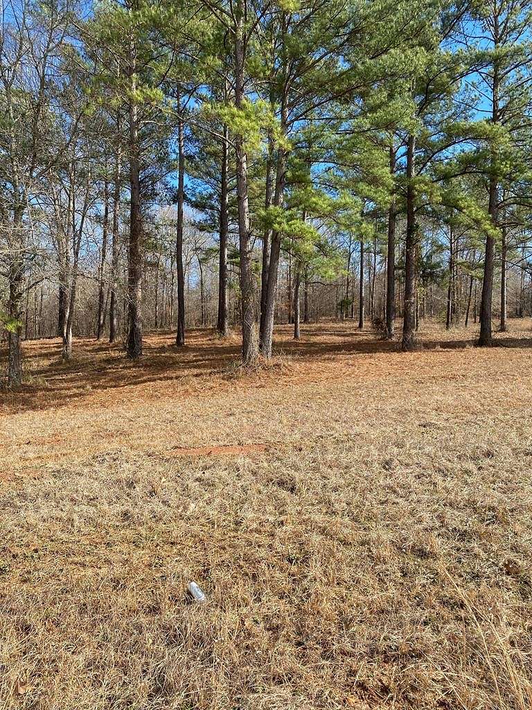 0.54 Acres of Residential Land for Sale in Hawkinsville, Georgia