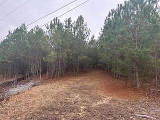 1.4 Acres of Residential Land for Sale in Chickamauga, Georgia