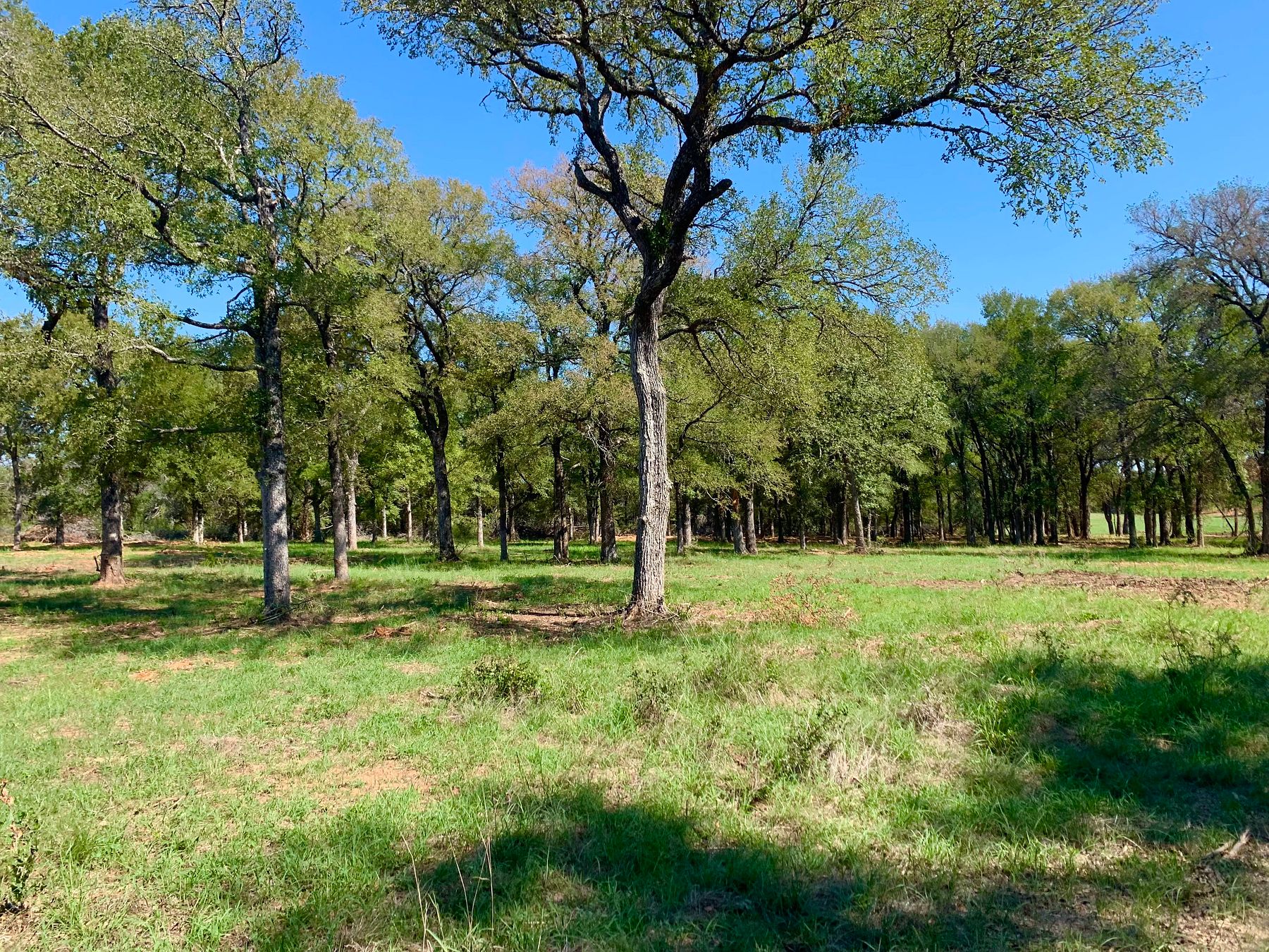 38 Acres of Recreational Land with Home for Sale in Morgan, Texas