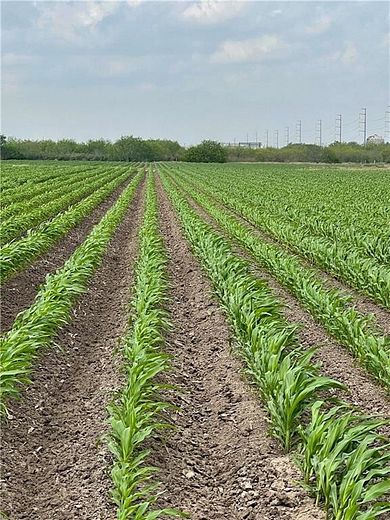 23 Acres of Agricultural Land for Sale in Progreso, Texas