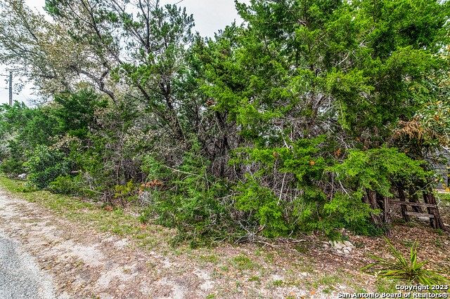 0.34 Acres of Residential Land for Sale in Canyon Lake, Texas